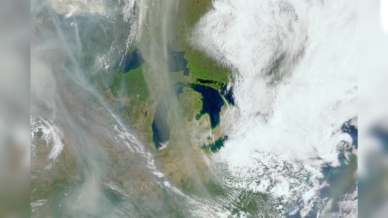 Satélite de monitoramento oceânico detecta fumaça de incêndio florestal vinda do espaço | Foto espacial do dia 1º de julho de 2026