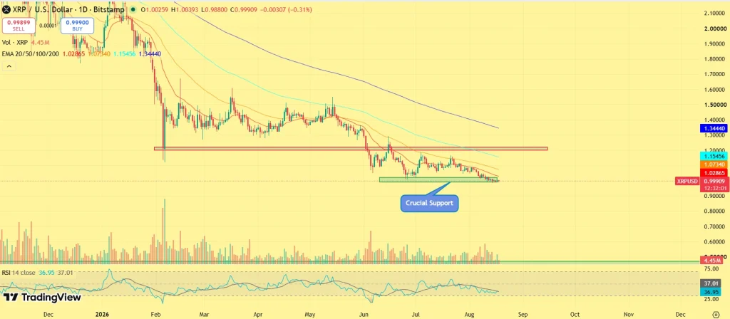Previsão de preço XRP