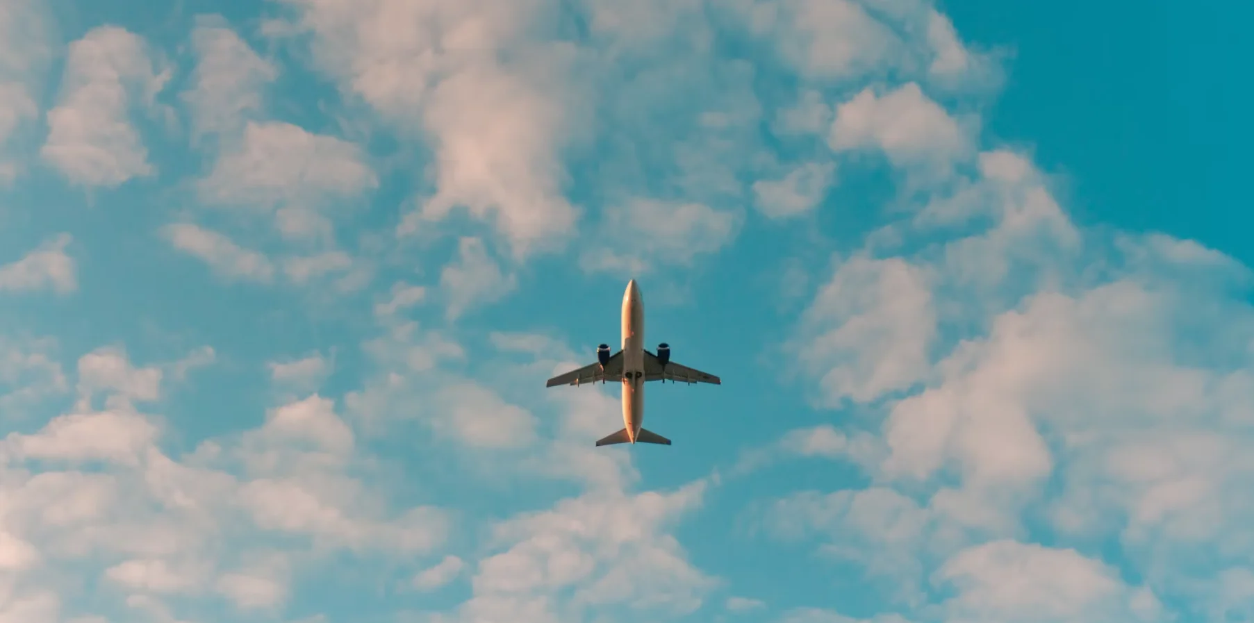 avi&atilde;o