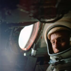 A visão de cima: os experimentos de acuidade visual Gemini