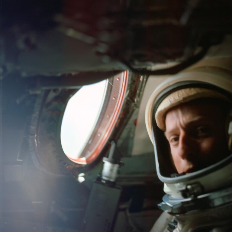 A visão de cima: os experimentos de acuidade visual Gemini