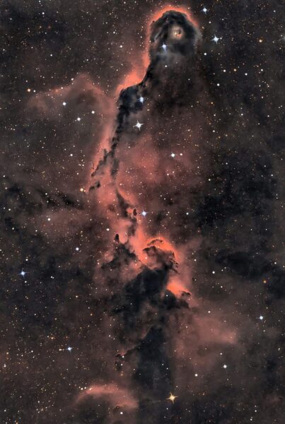APOD: 2026, 20 de agosto - A Tromba do Elefante em Cepheus