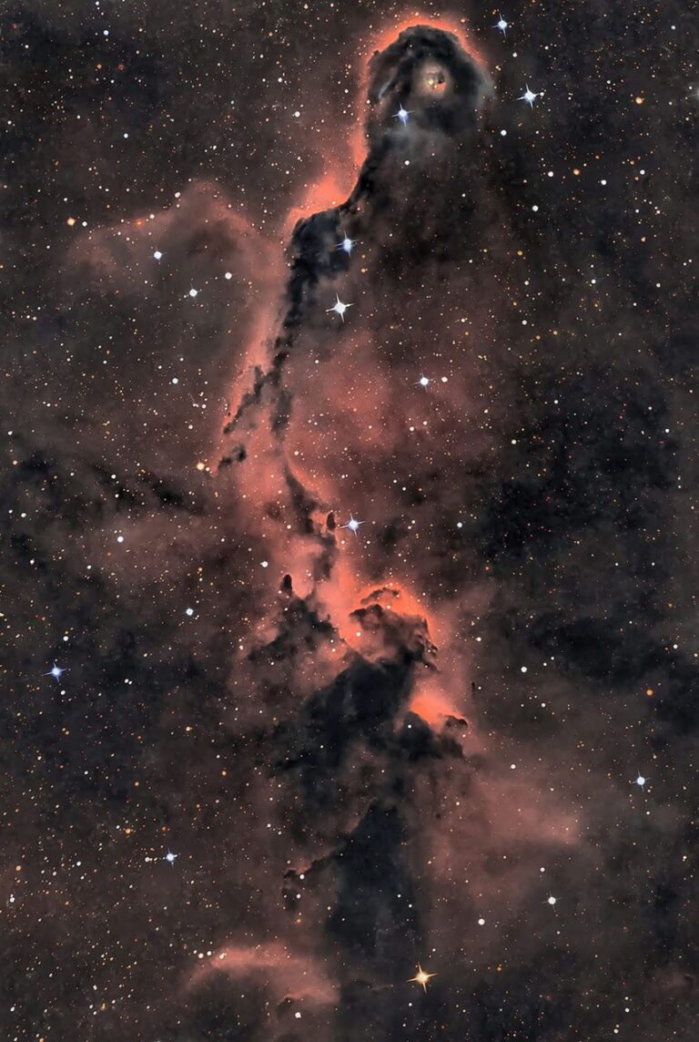 APOD: 2026, 20 de agosto - A Tromba do Elefante em Cepheus