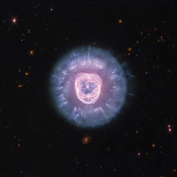 APOD: 2026, 26 de agosto - Imagens JWST da nebulosa da cabeça do leão