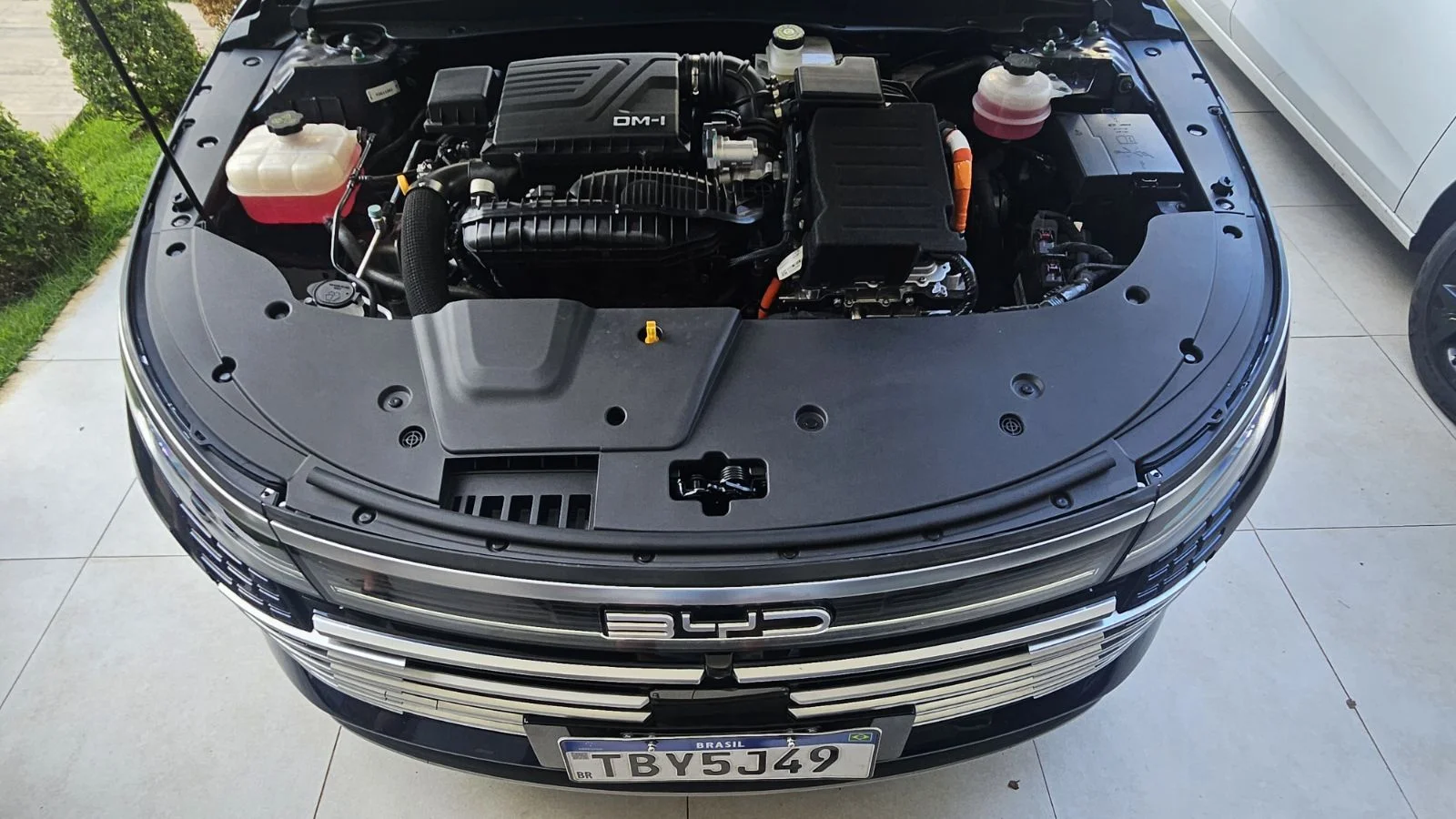 BYD King