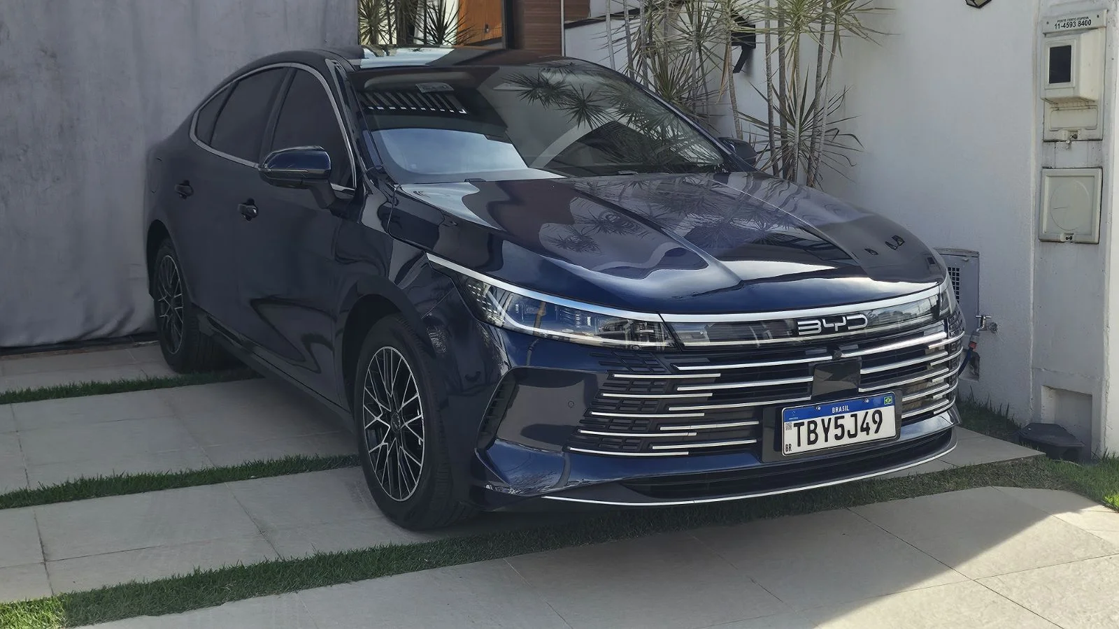 BYD King