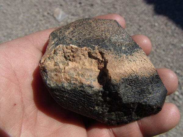 Meteorito de Marte de 1 bilhão de anos encontrado na Argélia é diferente de tudo que vimos no Planeta Vermelho