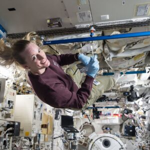 Micróbios relacionados com humanos podem sobreviver ao Pólo Sul da Lua, descobre a NASA