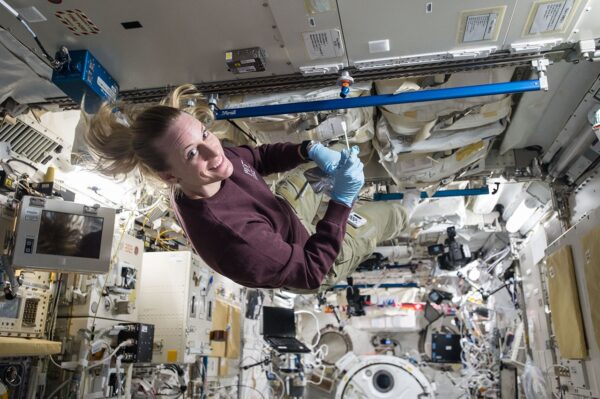 Micróbios relacionados com humanos podem sobreviver ao Pólo Sul da Lua, descobre a NASA