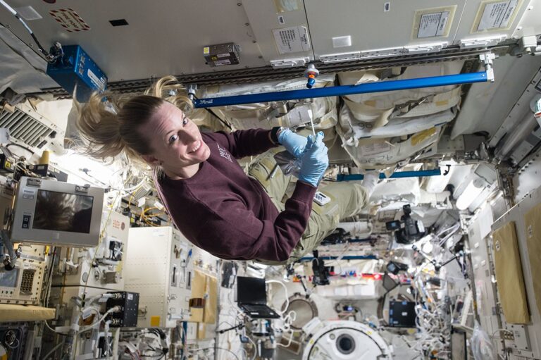 Micróbios relacionados com humanos podem sobreviver ao Pólo Sul da Lua, descobre a NASA