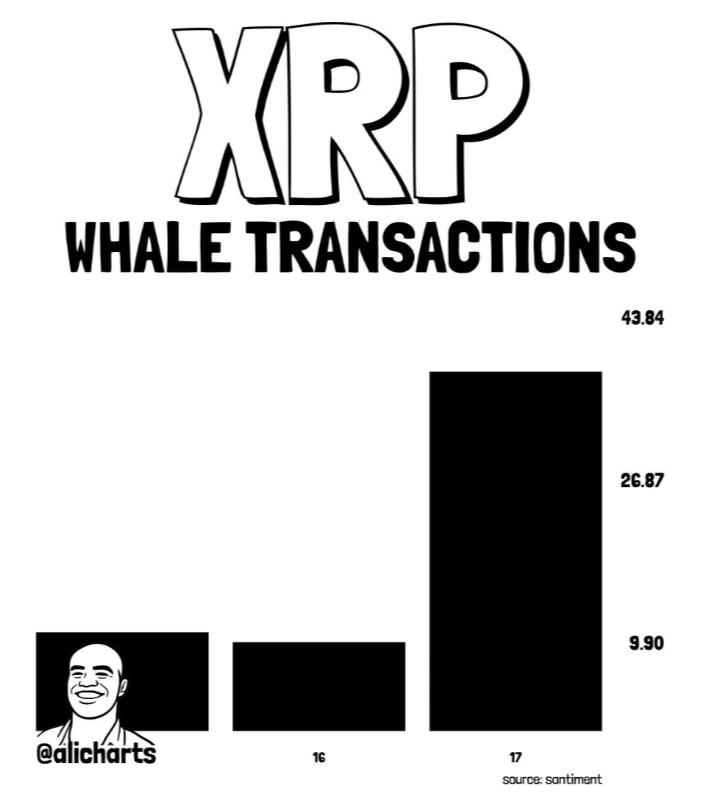 Dados de baleia XRP