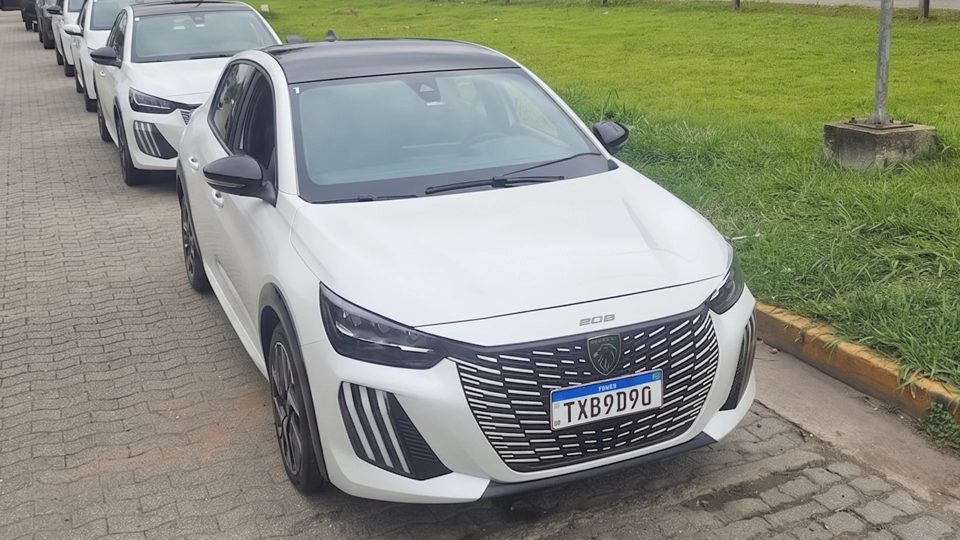 Frota Peugeot h&iacute;brido