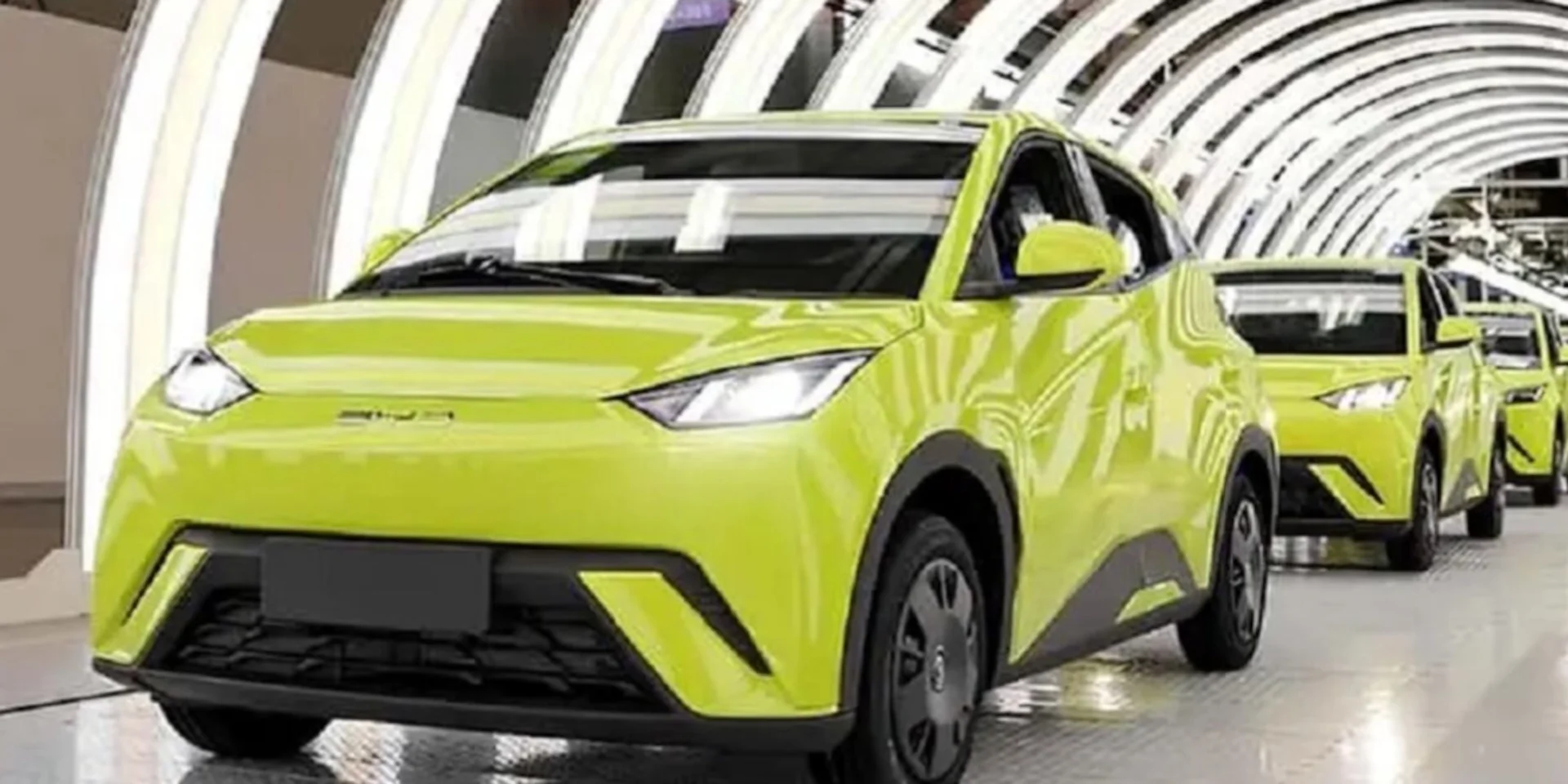 byd dolphin mini