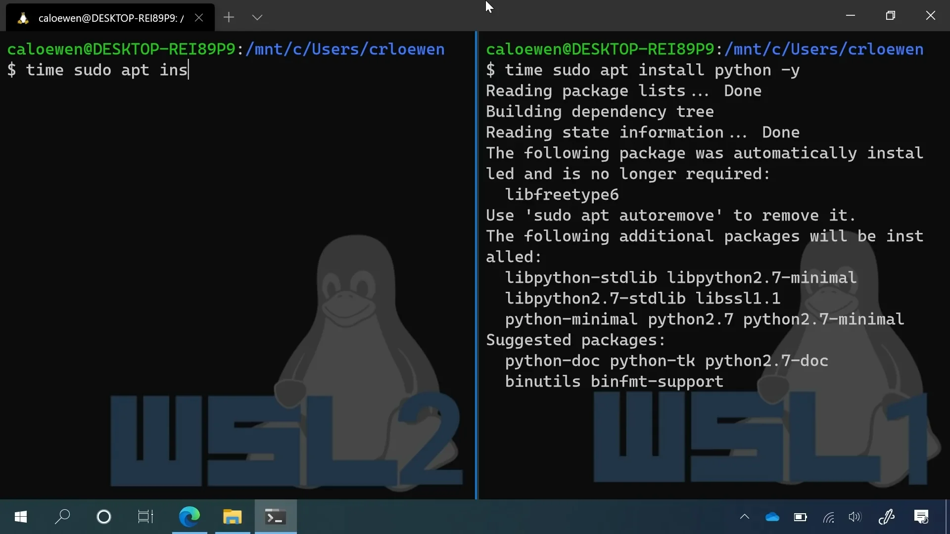 Subsistema Windows para Linux