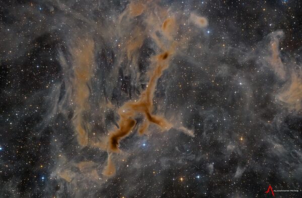 APOD: 2026, 10 de setembro - LDN 1295: A Nebulosa da Girafa