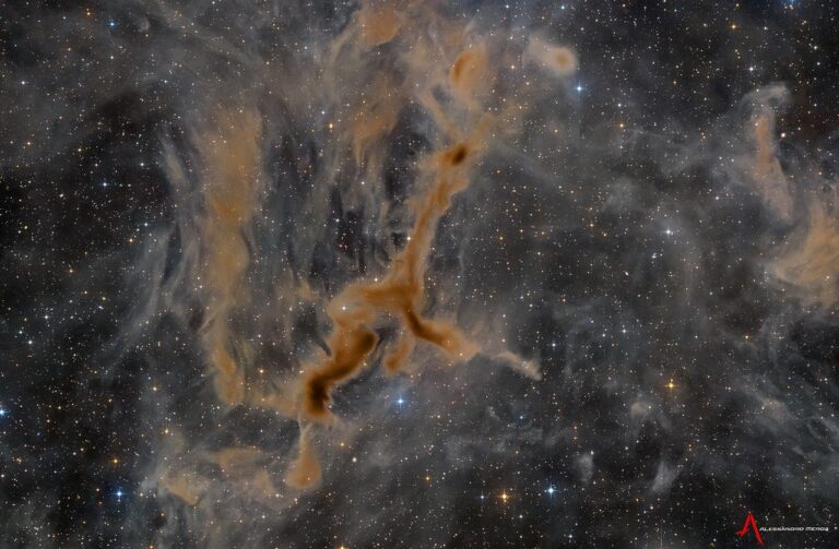 APOD: 2026, 10 de setembro - LDN 1295: A Nebulosa da Girafa