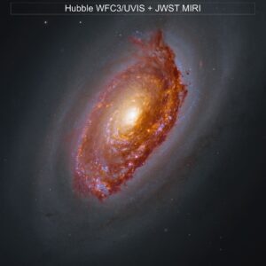 APOD: 2026, 16 de setembro - Visão de Webb do M64