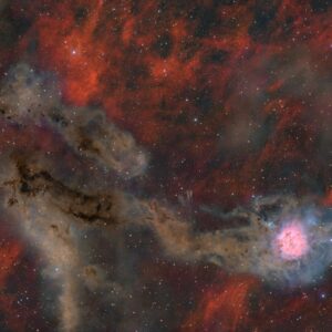 APOD: 2026, 21 de setembro - Campo amplo da nebulosa Cocoon