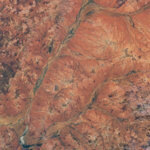 Ano de expansão para flores no deserto