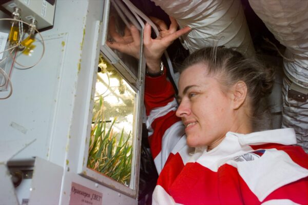 Missão recorde de Shannon Lucid a bordo da Mir