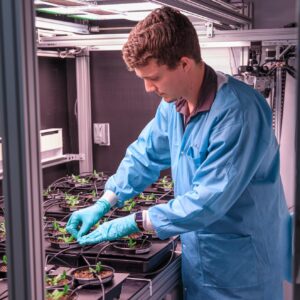 NASA e parceiros internacionais avançam no trabalho sobre culturas espaciais