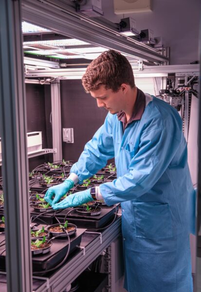 NASA e parceiros internacionais avançam no trabalho sobre culturas espaciais