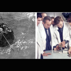 Neste dia no espaço! 15 de setembro de 1968: Tartarugas russas são lançadas ao redor da Lua na espaçonave Zond 5