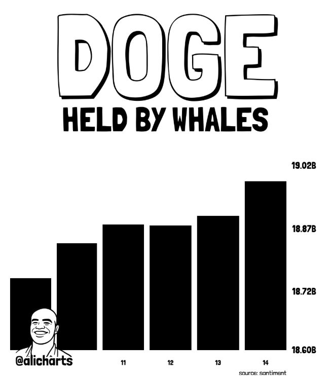 Dados de baleias DOGE
