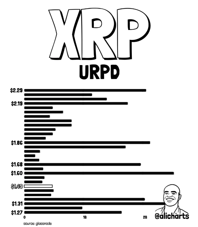 XRPURPD