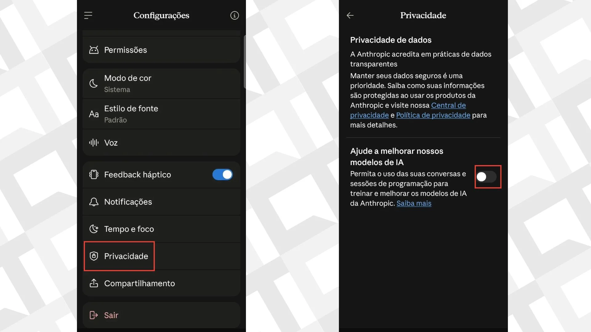 Editar informações da imagem Desativar treinamento Claude