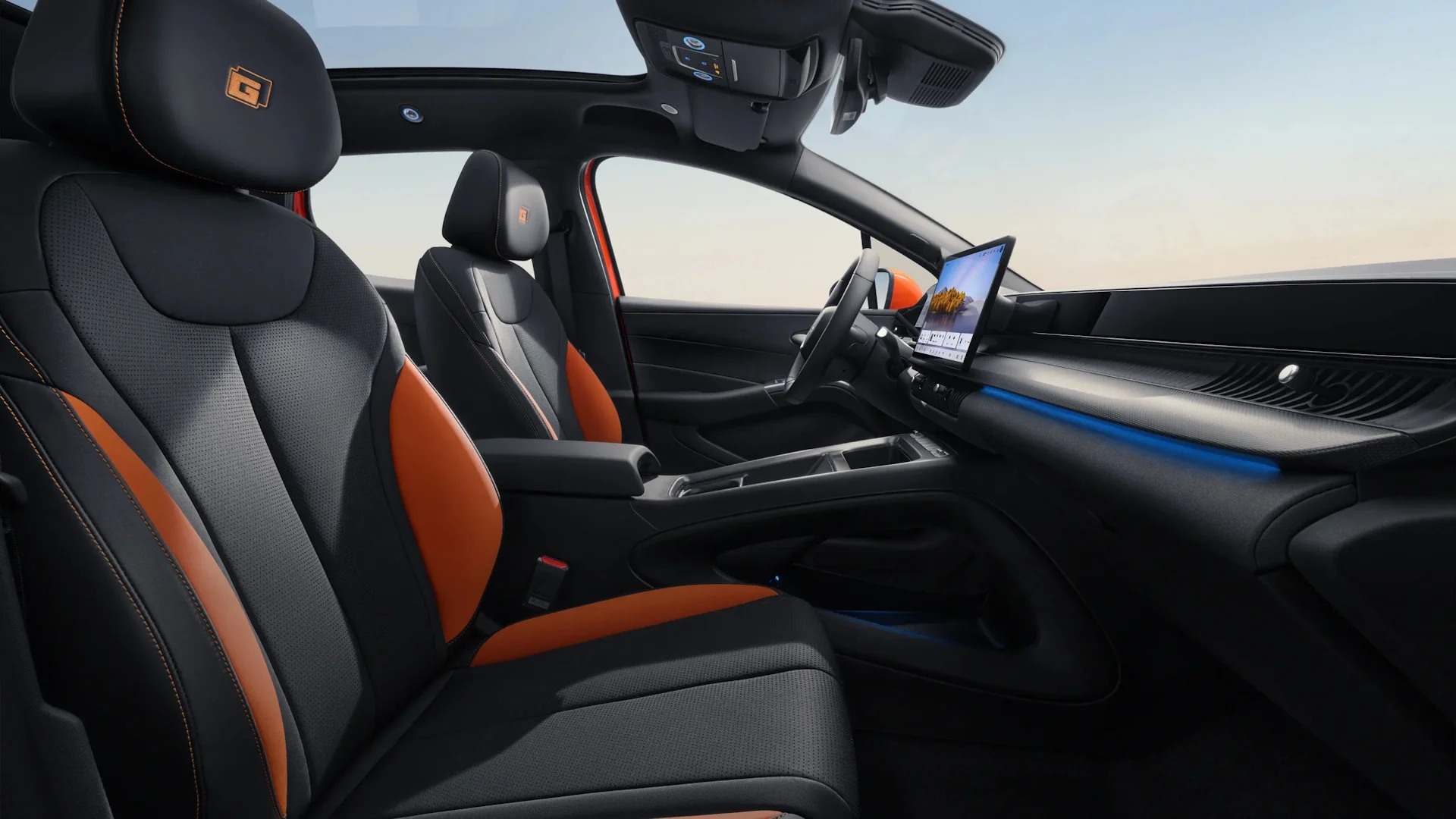 dolphin g interior