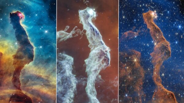 A Nebulosa Cabeça de Gato Fantasmagórico assombra a foto do cosmos do dia em 30 de outubro de 2026