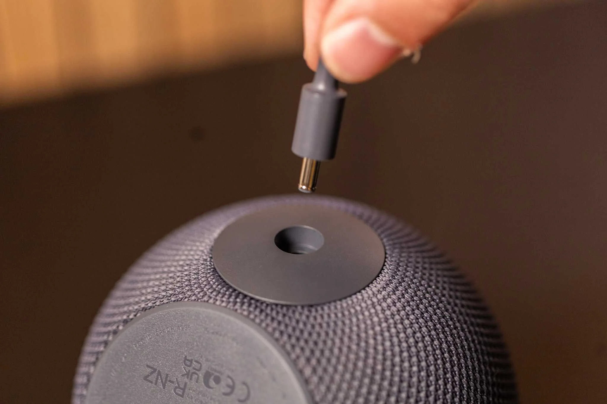 Echo Dot Max Entrad de Carregamento