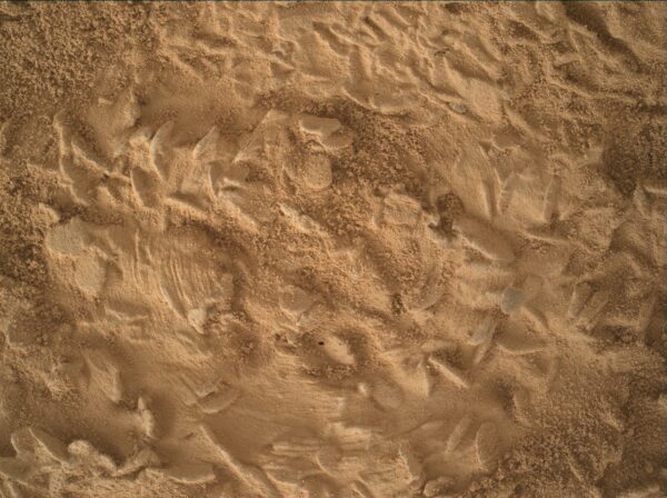 Curiosity Blog, Sols 5043-5049: Preparando-se para perfurar em 'Nazca'