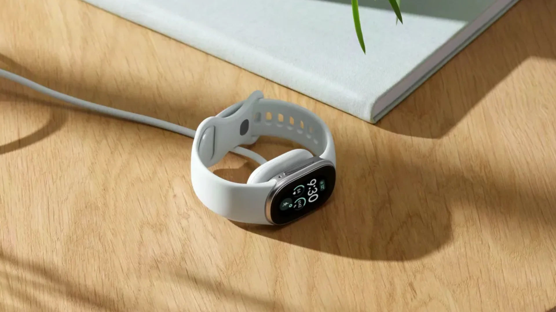 Editar informações da imagem Fitbit Edge