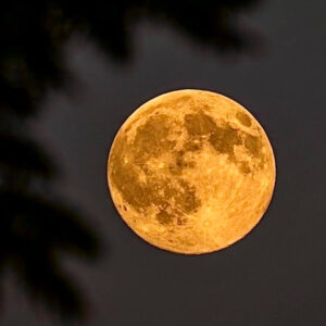 'Hunter's Moon' completo de outubro deslumbra em fotos espetaculares de todo o mundo