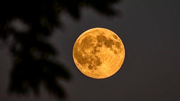 'Hunter's Moon' completo de outubro deslumbra em fotos espetaculares de todo o mundo