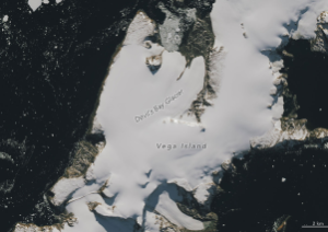 Ilha Vega Congelada de Susto