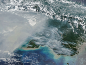Incêndios na Nova Guiné - NASA Science