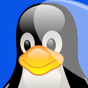 Projeto já faz Linux rodar no PS5 Pro com firmware 13.60; veja o que muda com isso